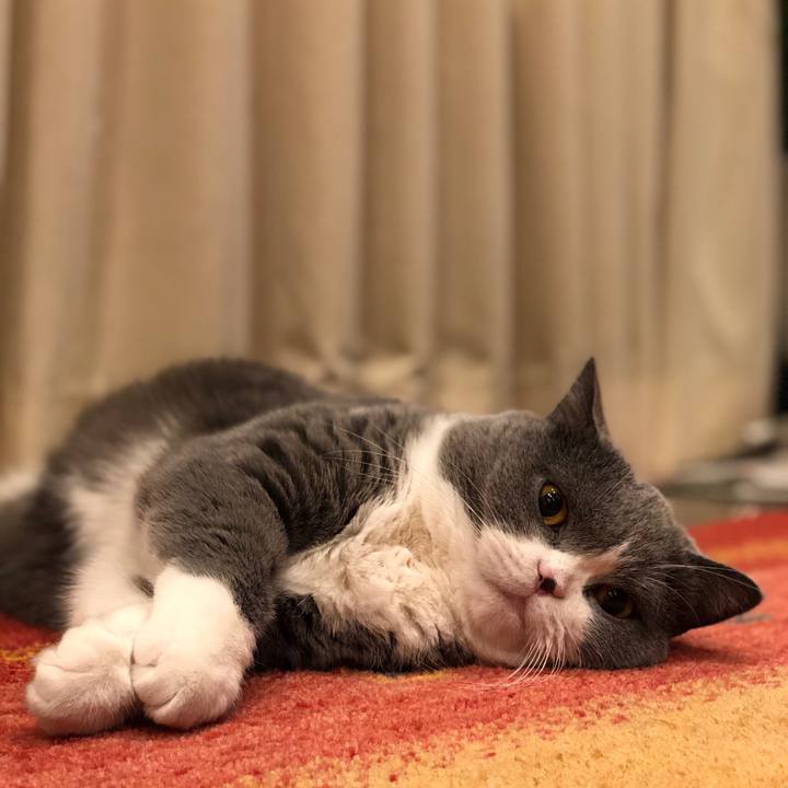 5db21b4f 5be6 40bb a5e2 06593e935b4d 1511942340789