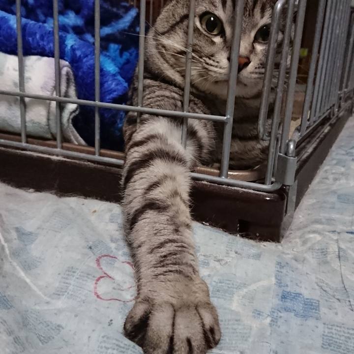 5db28b66 6147 4c5e a589 4eee3b663c55 1521382088533