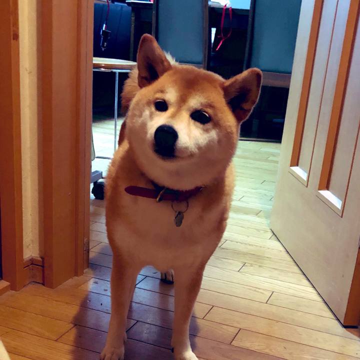 5db29177 c1a9 4a62 9631 cf68aee252bd 1566088118287