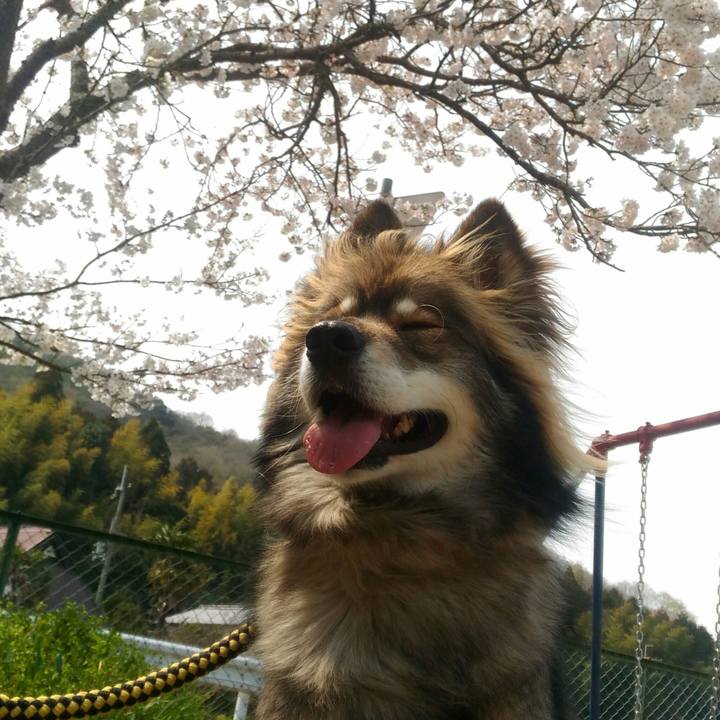 5db297bd f8cd 45dd b612 c0315d79f3ae 1554628942456