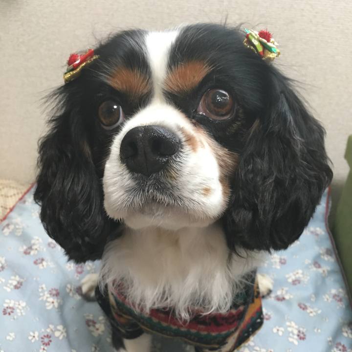 5db29997 58e0 4d58 908d b41ca3ba797b 1512713793827