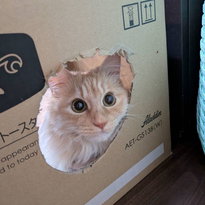 5db2dea4 c0bf 4a71 b1bd 094950ecb346 1742904096585