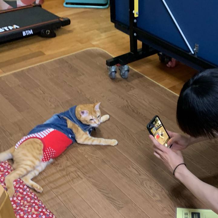 5db2e10e 3bd2 4d65 820e f938fa49be27 1625579462944