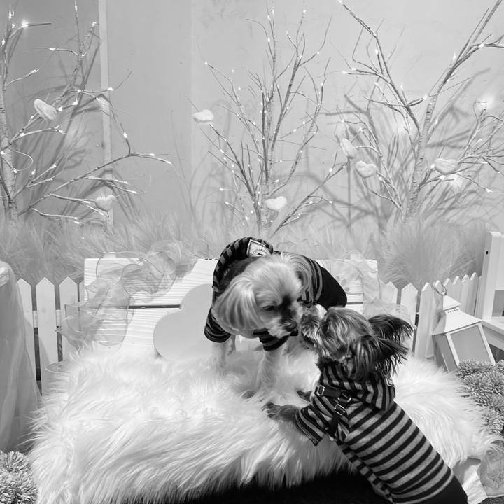 5db2fe0e 6689 46f9 a2c3 7d7b84cf97f7 1763866370771