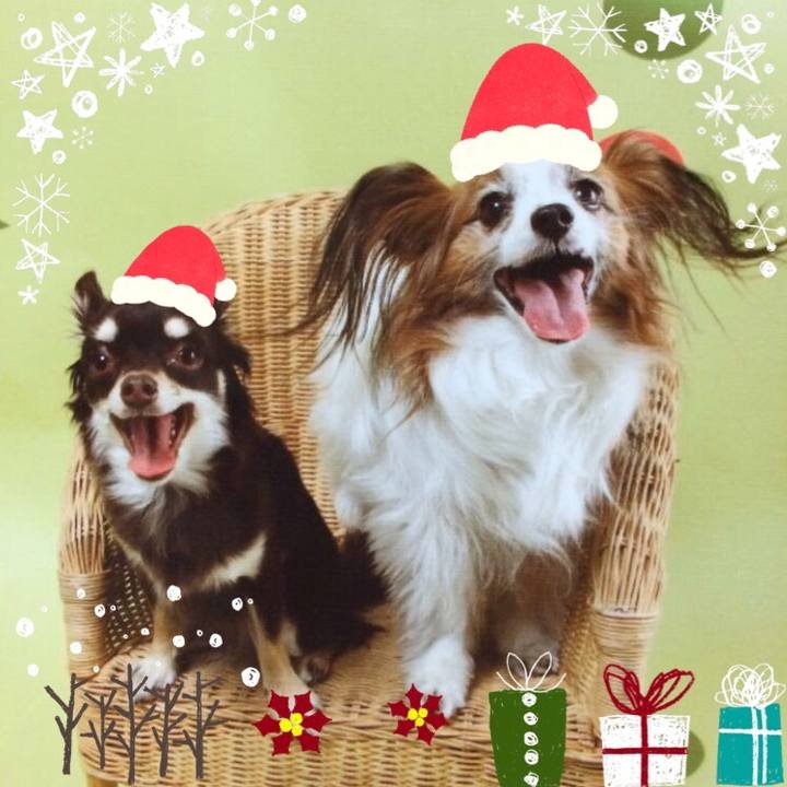 5db30578 6804 4ed2 b6cf 9af200b4315c 1577003430688