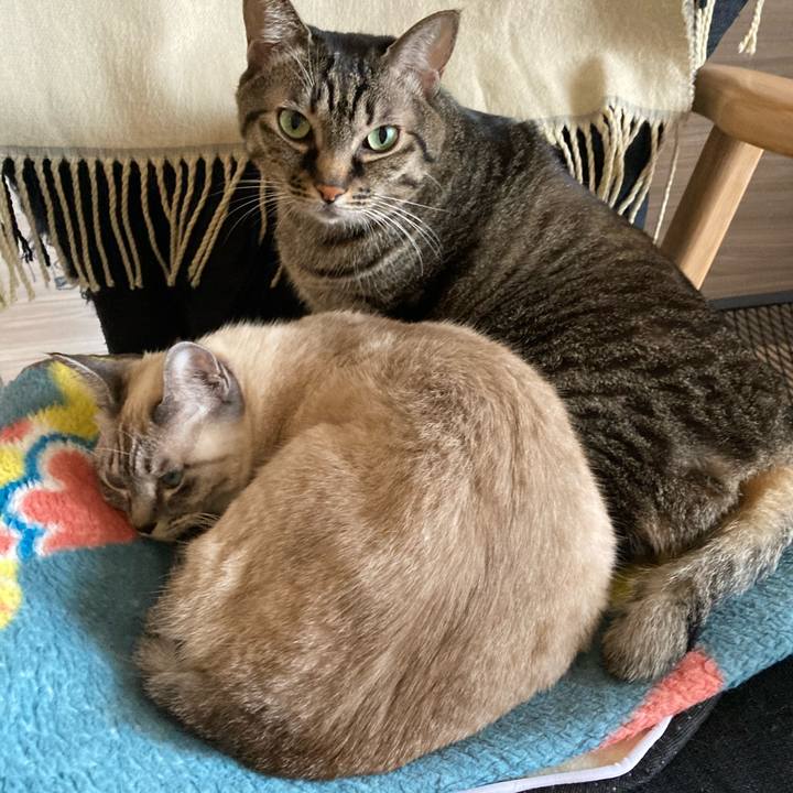 5db32102 429f 45c3 8d96 33c0bda0bf74 1640909984137