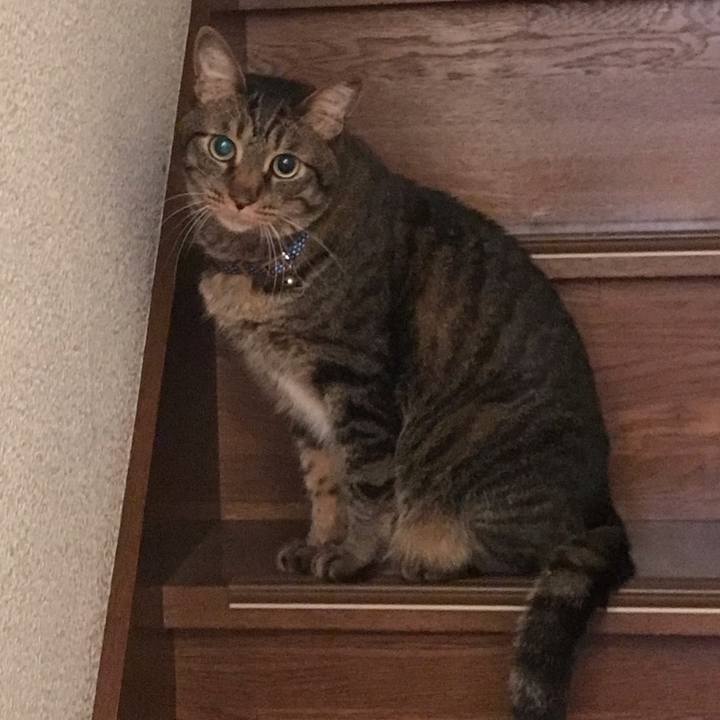 5db32cab 0394 467c 8721 ff390da38b5a 1627124760399