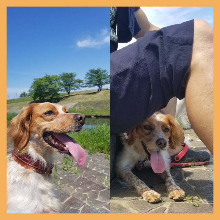 5db370f5 2127 4a52 a1d3 c502ee492c1a 1589726966216