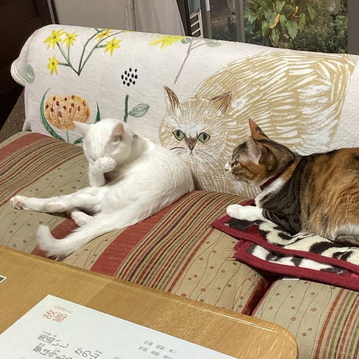 5db395be 5368 499c a90a 8a78ebafc8d0 1668736021857