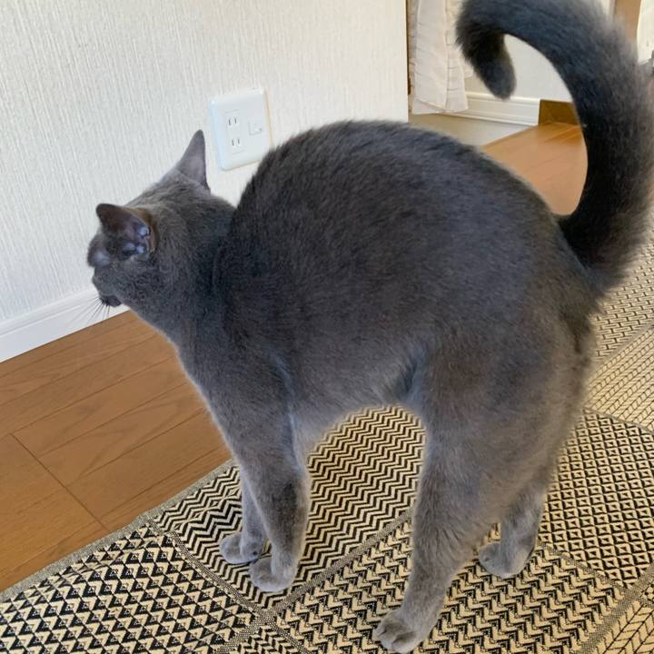 5db3a513 c205 4c5f 8012 7ad09209a97f 1599801522031