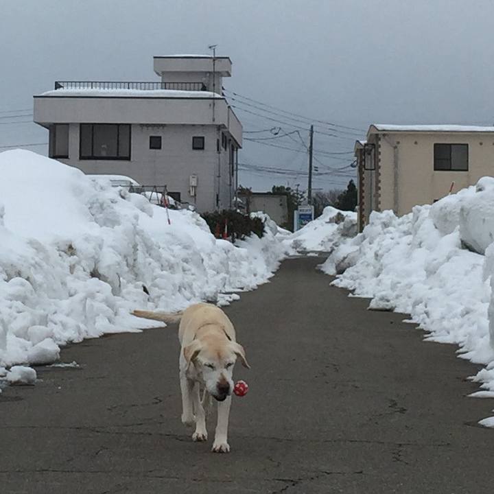 5db3a8d7 50f4 4fd4 954a 41a35849ea6a 1519110100471