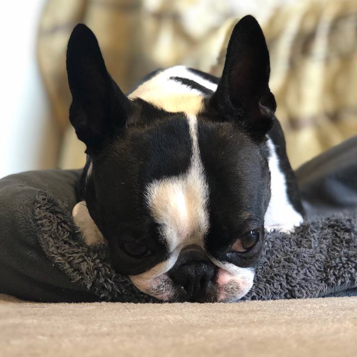 5db3b435 b9f1 4f73 97e7 5719201ca5bd 1570360578337