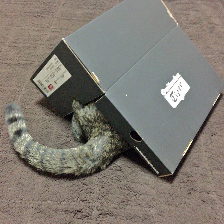 5db3f71f 2e6a 4456 8aca 9be270922ba8 1516438082345