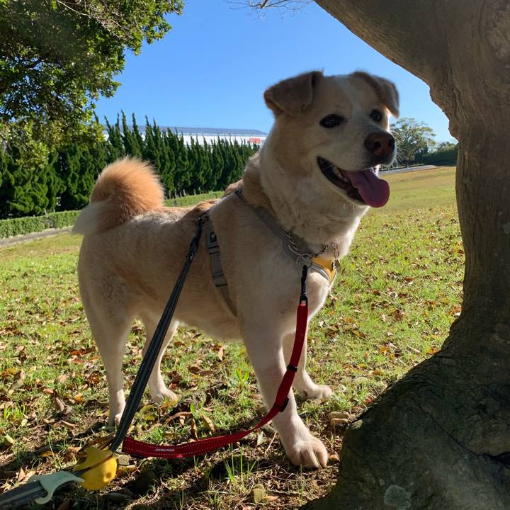 5db3fe15 aee1 4ad4 b63f a85b9aa3c9c9 1584231534170