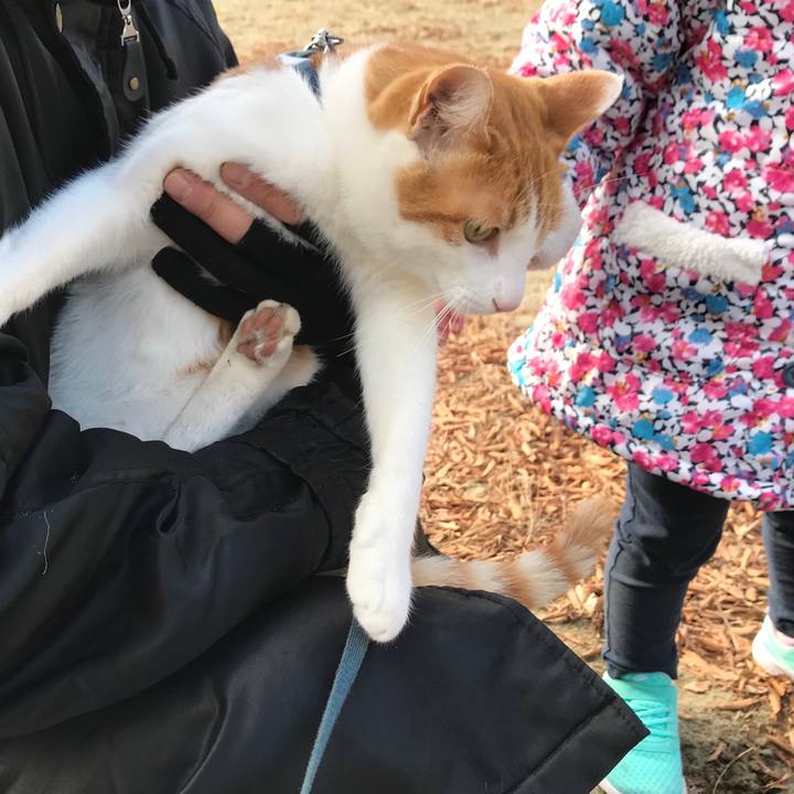 5db43e83 37d0 4e69 a5d9 9ac475d725ca 1512875589624