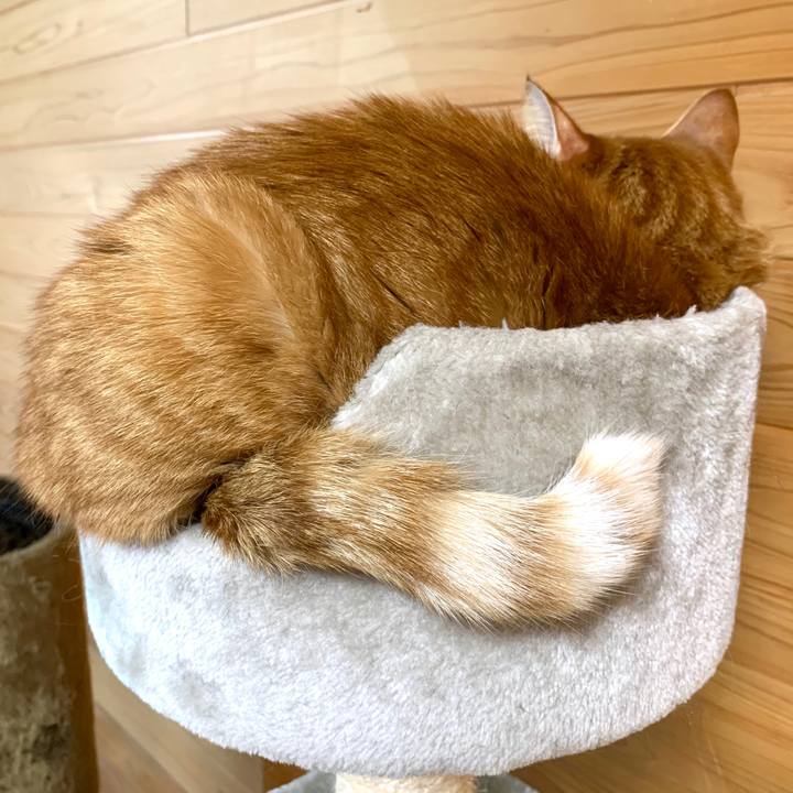 5db44a6a bff9 48e1 8b1c 402c7d11a42a 1586048660711