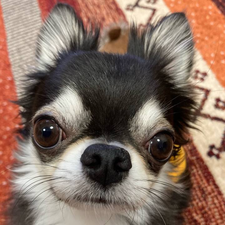 5db45d01 4729 417d b900 cf1521011afa 1678493745900