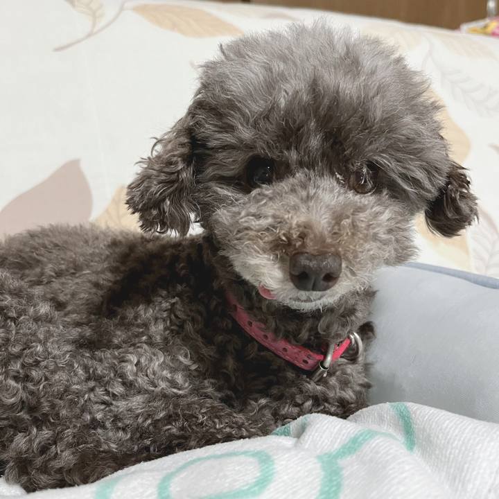 5db49598 f518 441f 825e caaab33c1144 1689334780076