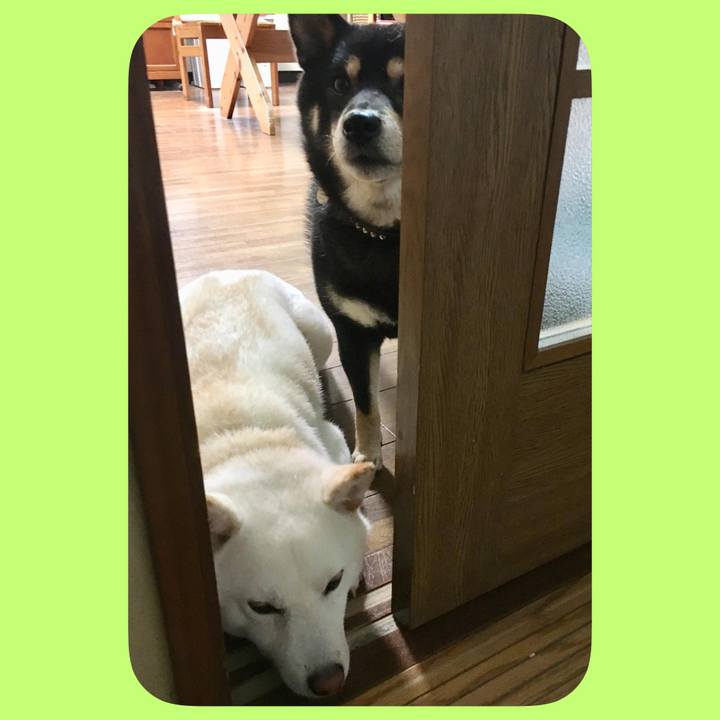 5db4beb9 7c38 4fcd aa44 96b8a0fd9252 1596602152262