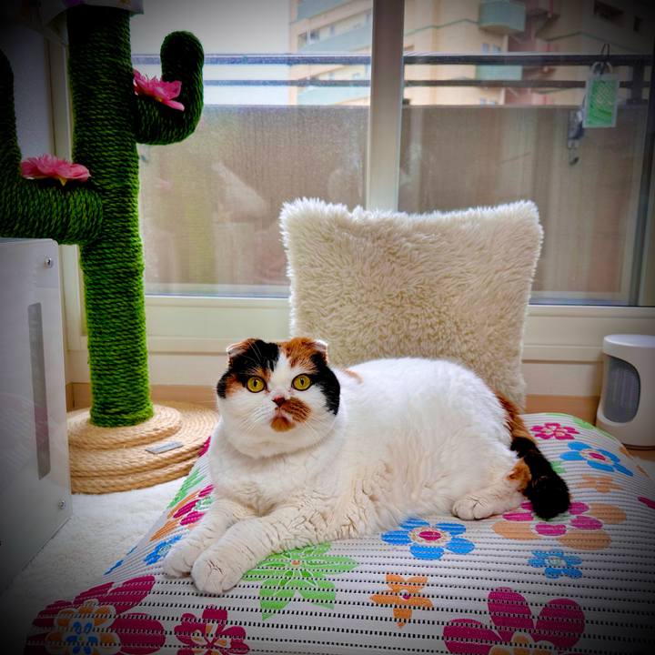 5db4c3b9 3d39 4493 9dbe ba9d1870da20 1670992157827