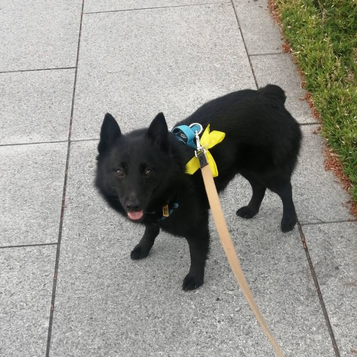 5db4d2a8 0956 4571 a9b3 75ad728a632c 1653513263026