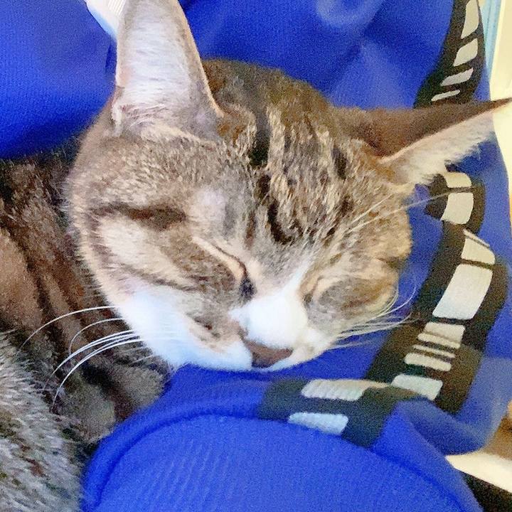 5db4d2b7 cc80 48ea a2e5 5f3ea2753e0e 1616777594144