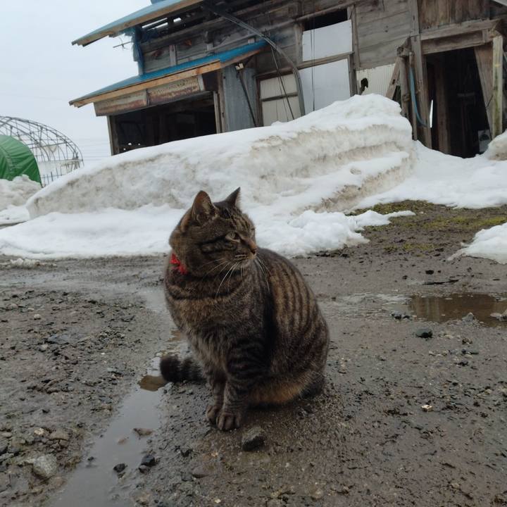 5db4e575 598b 4558 8104 08b94b185e8b 1673594075591