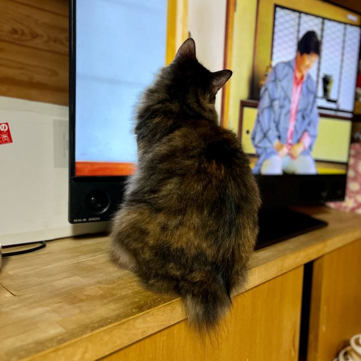 5db5091f 7a70 429e 81c8 0c64a938b448 1688911382320