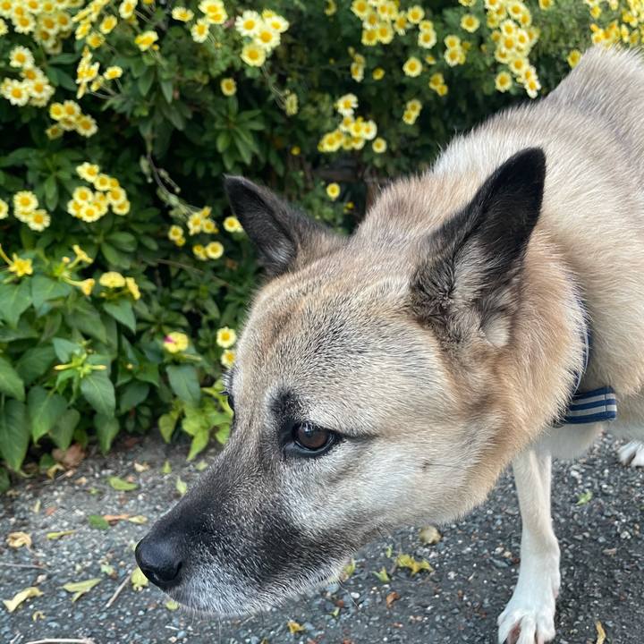 5db5371e 13fb 48d7 ac1a c482193056c5 1668773225837