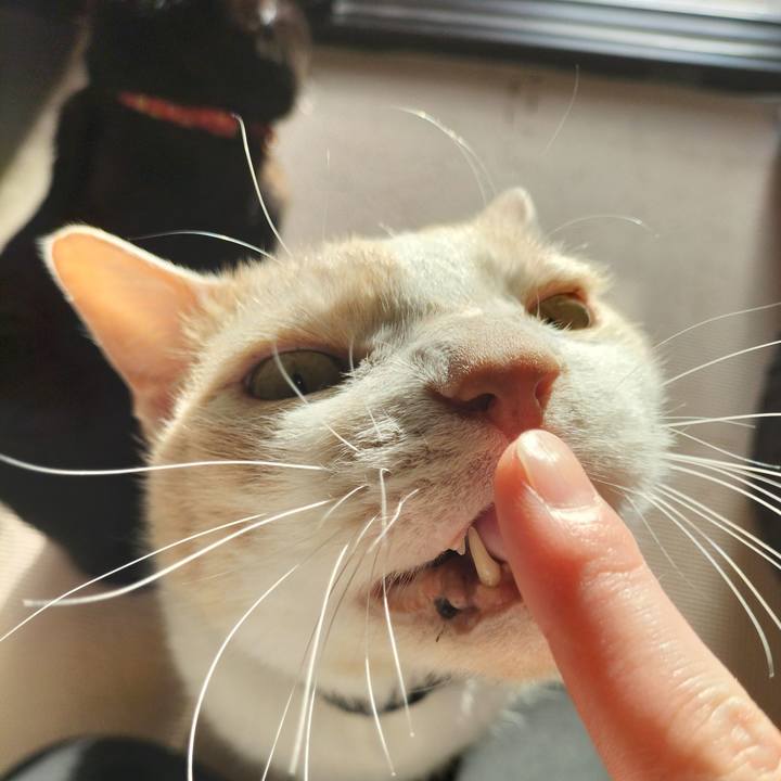 5db5442d 5491 4e16 8e0a fb76deb45685 1647470675493