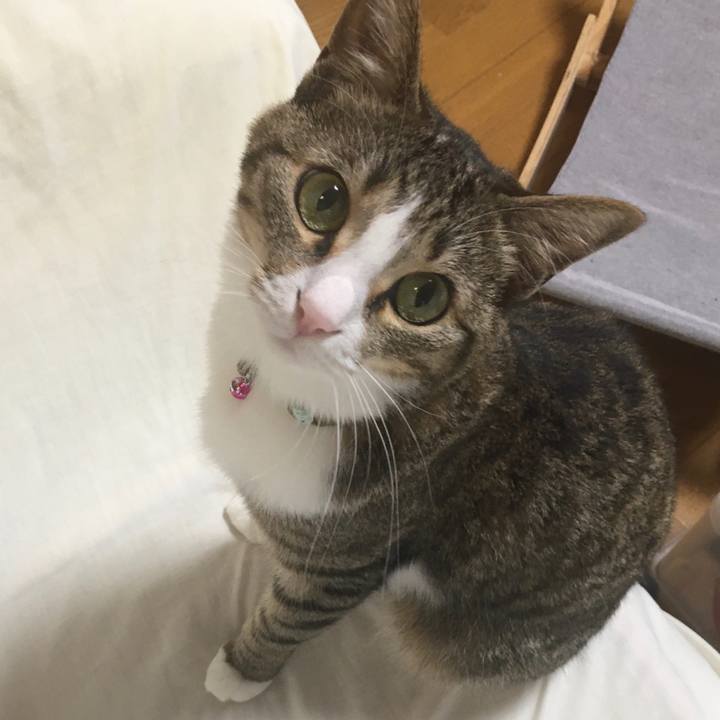 5db59122 5570 457d ae3d 37195e0b8fbd 1700885953297