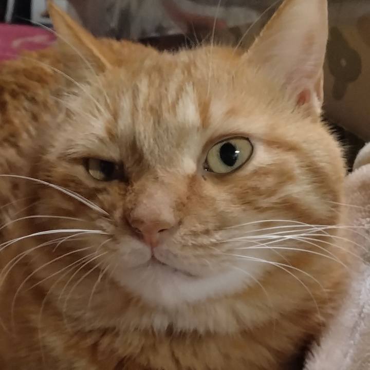 5db59704 7fba 4635 81f7 f8cbca6336eb 1765099868011