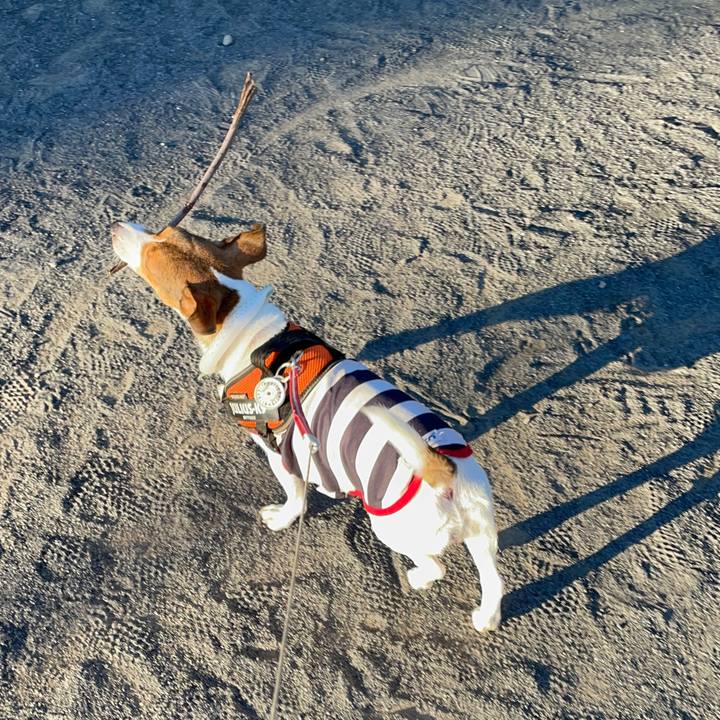 5db60e24 0561 4344 a000 d6e47c3b2667 1693109691128