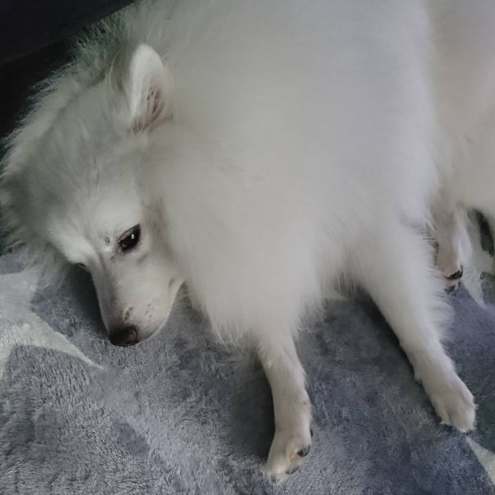 5db61072 2d6e 4bd8 90b4 79ec82b295f5 1571979430770