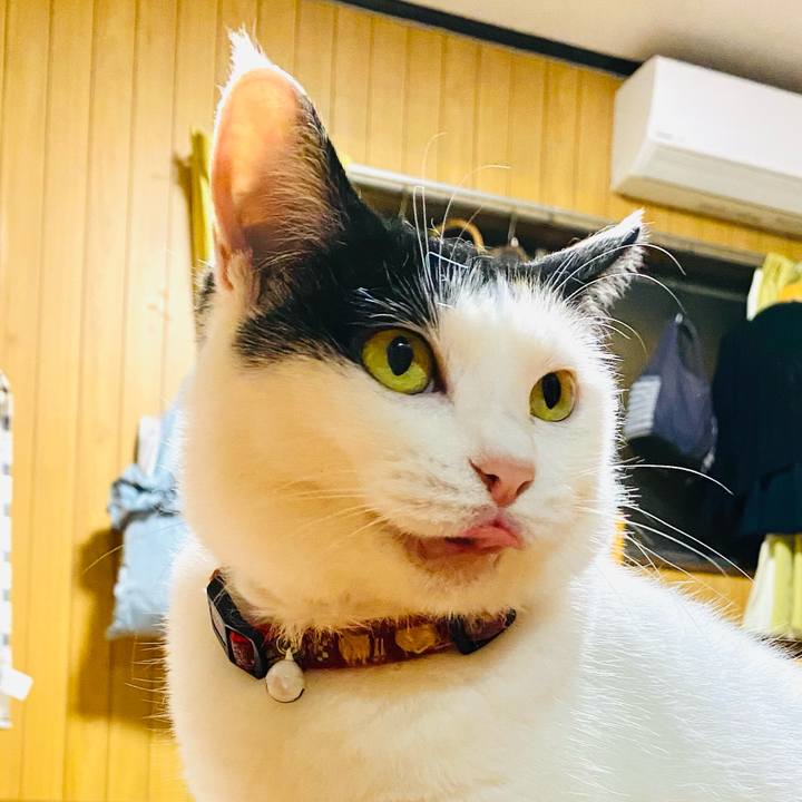 5db6291c 9b42 4470 a4dd 1c067bdea805 1686153117871