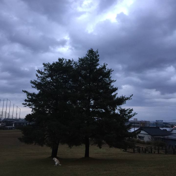 5db67545 76b2 4384 9e39 a4ee2520c9cb 1543187906925