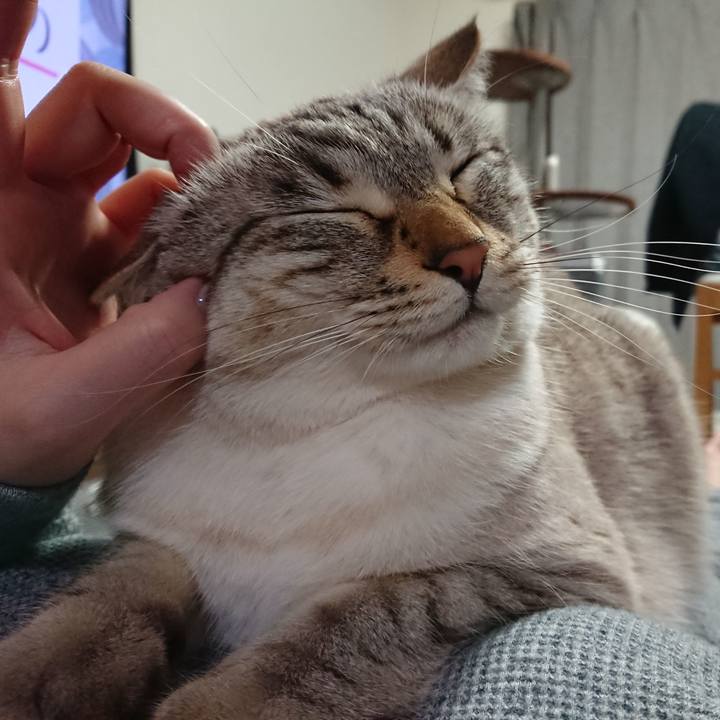 5db68106 8e05 46aa bad8 87bb2b31cfcb 1554642366099