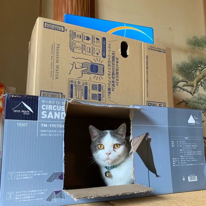 5db69154 a35e 4f75 b751 3c5f2668c081 1630368740007