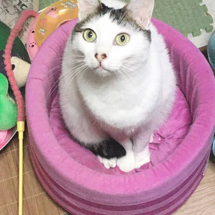 5db6eb0f 7158 433d 8d3c 9be22614893e 1571731115751