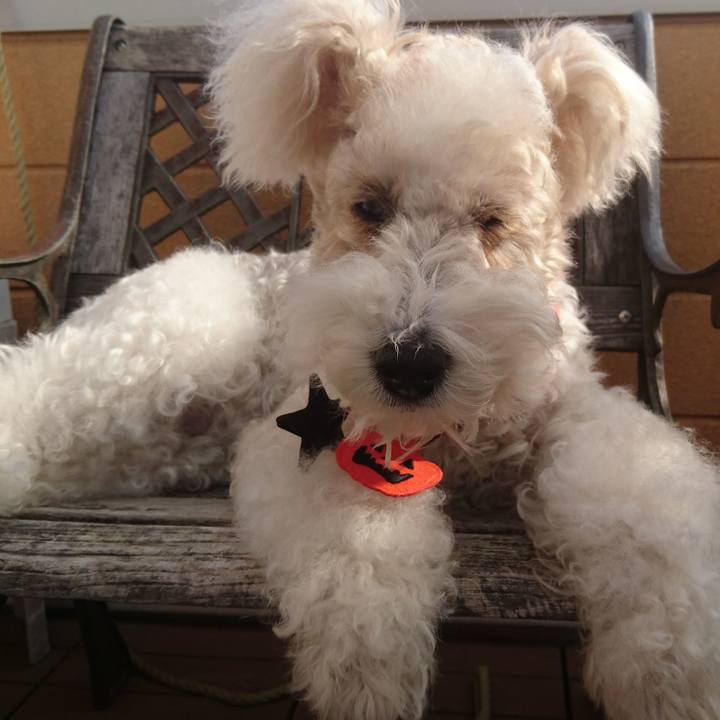 5db6f0d7 3fd9 46dd b72b 0947523fcb58 1572483750905