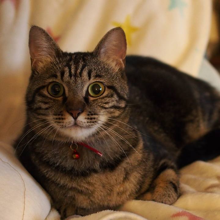 5db6fa69 16c8 4c9a 8887 8d2c5ec9157f 1563712387572