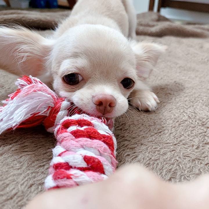 5db7cfeb d562 4404 b0b2 1fb85a2c8a03 1594384509108