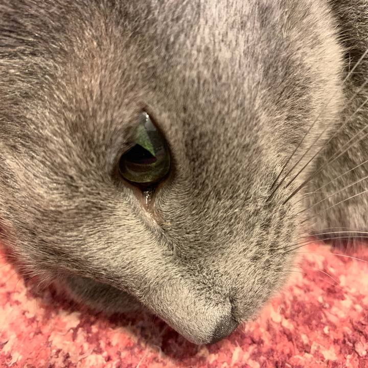 5db7e799 7238 4e4f a995 8129a632e1ac 1584692738029