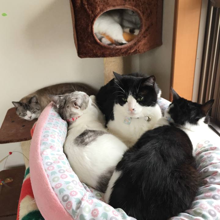 5db80958 e5d7 4531 85ee e191430e7d0c 1527639997652