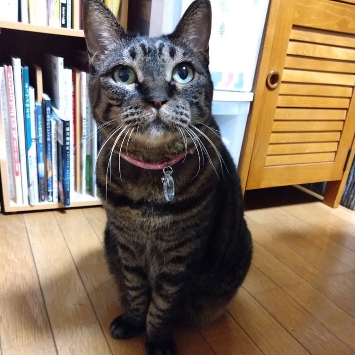 5db81c14 4574 47d7 b880 00e0720a711c 1765891203201