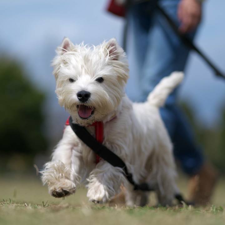 5db82e9a 10e0 4e8a 8ddf 8fe20df0de1e 1521418962602