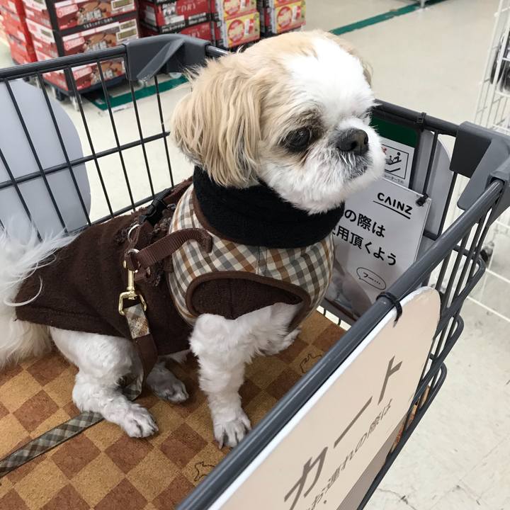 5db83b50 c55a 4d52 ac72 e4f8d432ef51 1544934384633