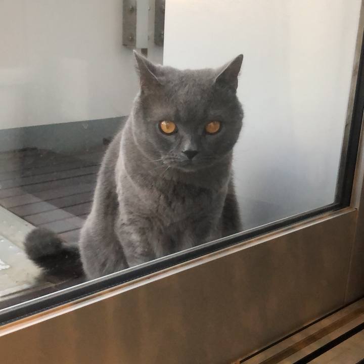 5db852fa 5baf 4dec b2fb 909c25b212fc 1546754080717