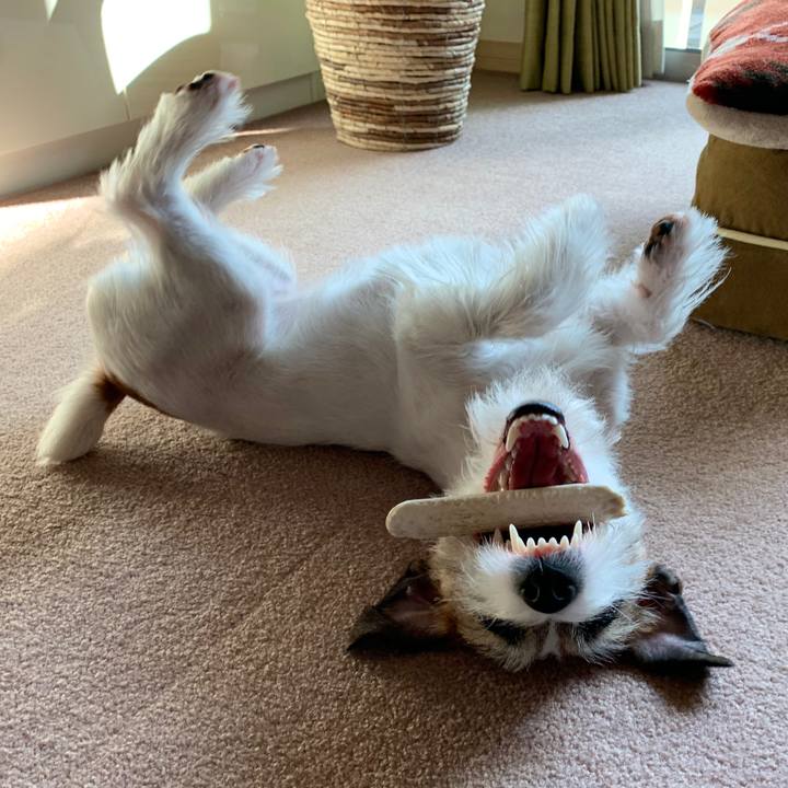 5db871b1 29e7 4ef2 a31a c409e092597a 1582265238435