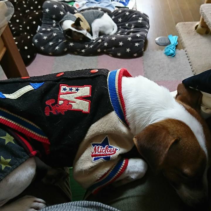 5db87640 4ac0 4d7c b739 54bb04f5c4f1 1546225455637